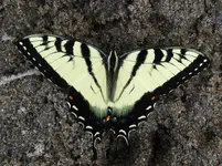 K1600_DSCN3648.webp
