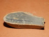 DSCN6750.webp