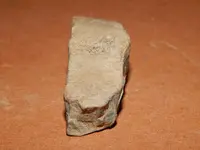 DSCN6751.webp