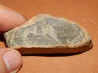 DSCN6752.webp