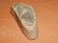 DSCN6753.webp