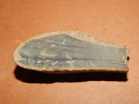 DSCN6754.webp