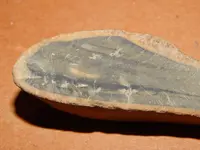 DSCN6755.webp