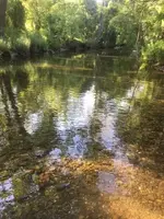Creek.webp