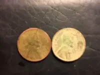Creek Pennies.webp