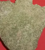 20170810_030727.webp