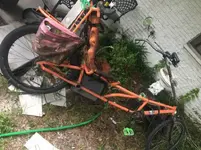 recumbant.webp