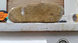 20170626_151346.webp