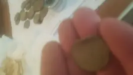 20170704_141835.webp