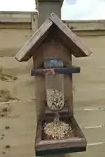 bird feeder.webp