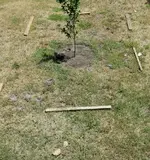 20170724_121418.webp 20170724_121418.webp