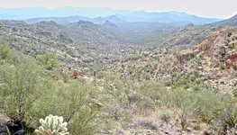 backside hewitt.webp