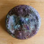 DSCF9458c.webp