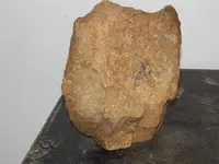 DSCN7069.webp