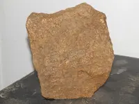 DSCN7070.webp