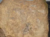 DSCN7073.webp
