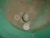 DSCF0001.webp