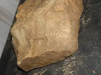 DSCN7079.webp