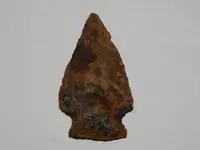 DSCN6756.webp