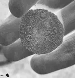 oldcopperneg.webp