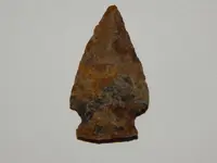 DSCN6757.webp
