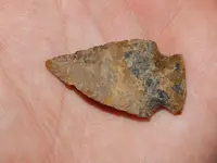 DSCN6758.webp