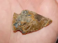 DSCN6759.webp