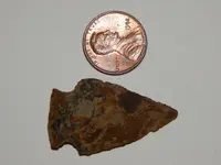 DSCN6760.webp