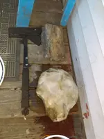 IMAG0622.webp