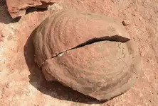 Arizona Dino Poo.webp