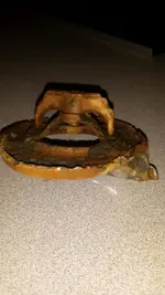 2017060595211756.webp