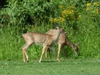 K1600_DSCN4144.webp
