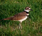 K1600_DSCN4176.webp