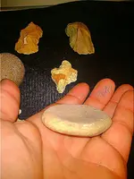 IMG_20170615_121316.webp