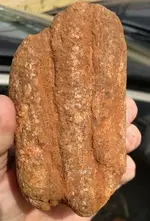 Tar River rock NC.webp Tar River rock NC.webp