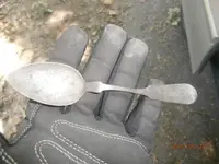 silver spoon.webp