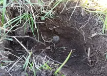 2 27 2016  bracelet in the hole.webp