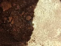 2 27 2016 cuff in the hole.webp