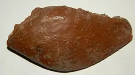 DSCN7035.webp