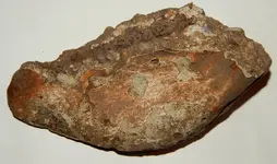 DSCN7036.webp