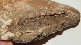 DSCN7040.webp