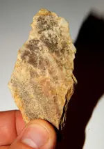 DSCN6439.webp