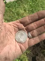ImageUploadedByTreasureNet.com1502418056.897334.webp