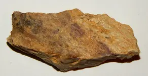 DSCN6442.webp
