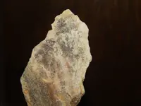 DSCN6447.webp