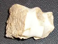 BF135.webp