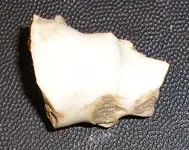 BF136.webp