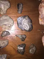 ImageUploadedByTreasureNet.com1499384242.386868.webp