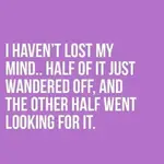 lost my mind.webp