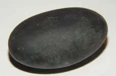 DSCN6511.webp